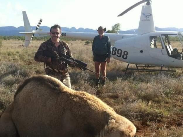 Австраличууд мэргэжлийн анчид хөлслөн тэмээнүүдээ устгаж байна
