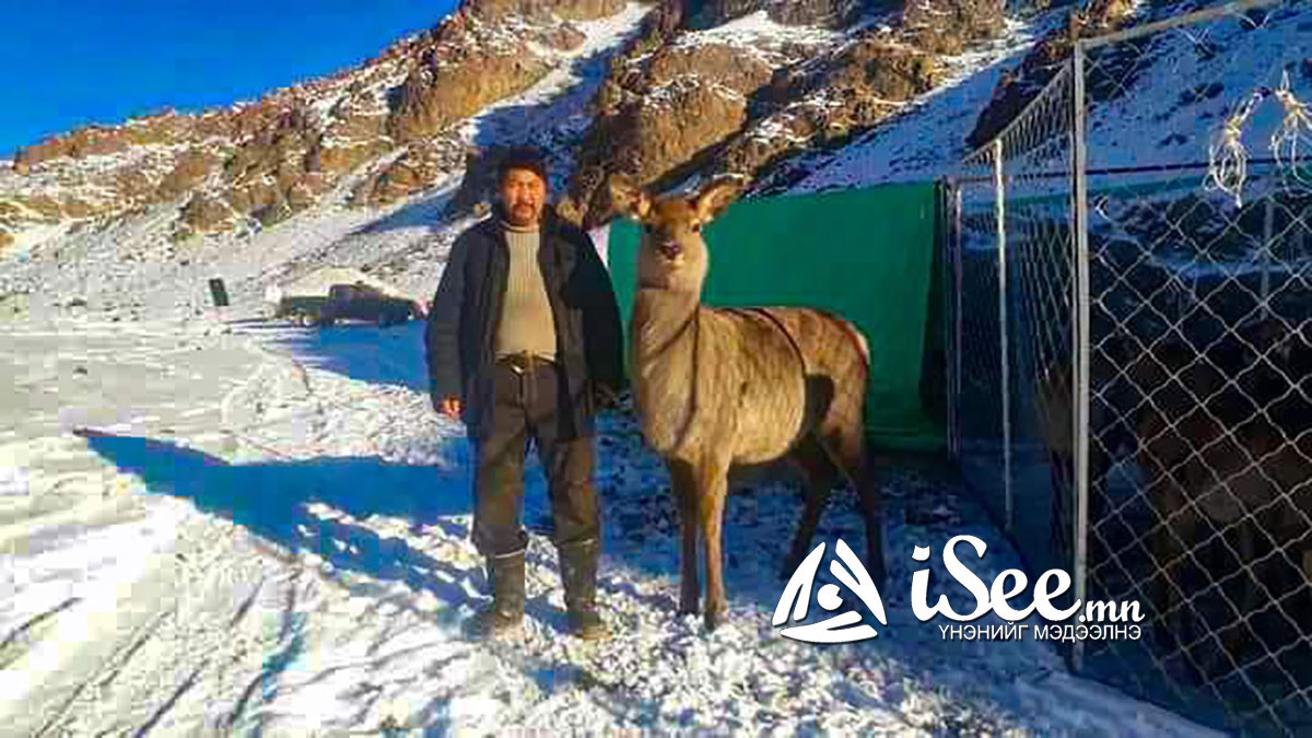 Б.Насанбат гуай Коко согооны хамт
