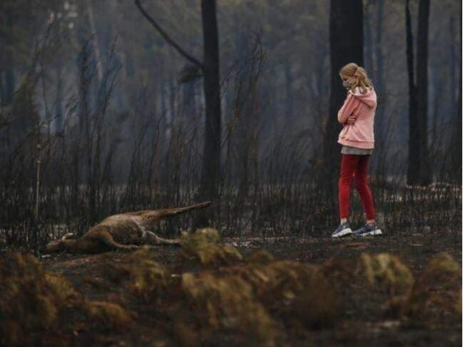 Австралид гарсан түймрийг өсвөр насныхан тавьжээ