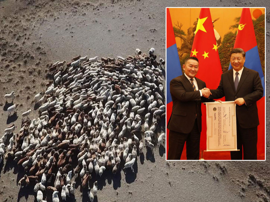 Хандивын “30 мянган хонь” хэрхэн цугларч, эздэдээ очих тухай баримтад киног CCTV, ТВ2 телевизүүд бүтээж байна