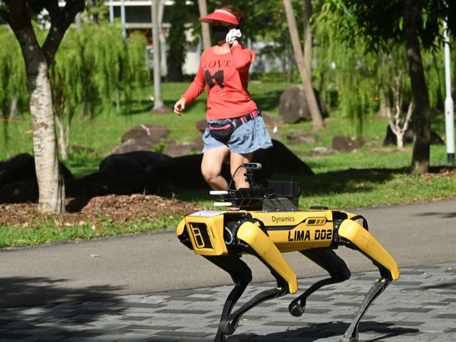 Сингапурт хорио цээрийн дэглэмийг робот нохой хянаж байна