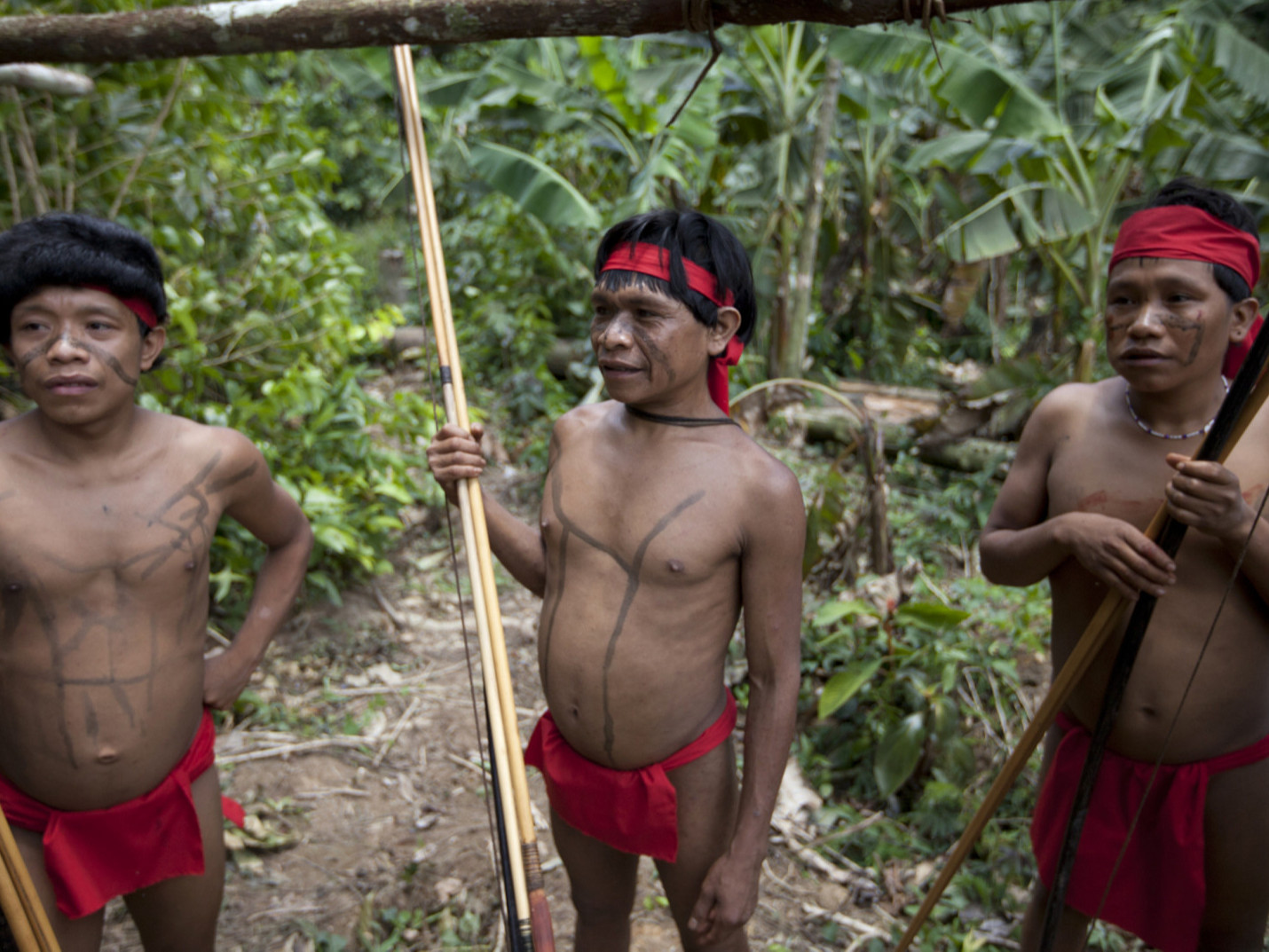 Амазоны уугуул омогт коронавирусийн анхны тохиолдол бүртгэгджээ