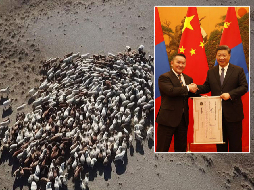 Хандивын 30 мянган хонийг НАМАР авах хүсэлтийг БНХАУ-ын талаас гаргажээ
