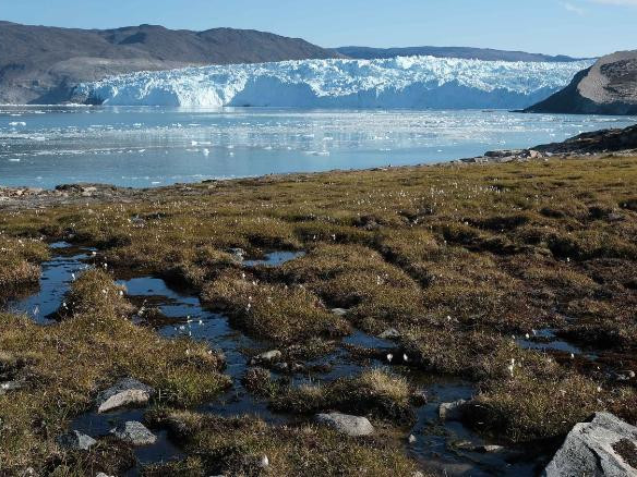 Гренландын мөсөн бүрхүүл өмнөх оноос илүү хэмжээгээр хайлж, эрэг орчмын хотуудыг “сандаргаж” эхэллээ