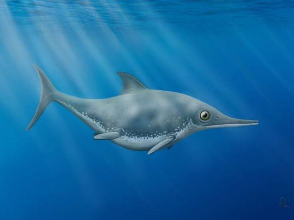 150 сая жилийн өмнө амьдарч байсан “далайн луу”-ны олдворыг илрүүлжээ