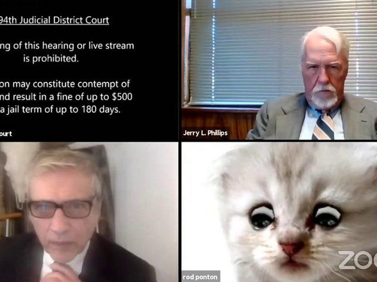 ВИДЕО: Онлайн шүүх хуралдааны үеэр муурын “филтер” ашигласан хуульч цахим сүлжээний “од” болж байна