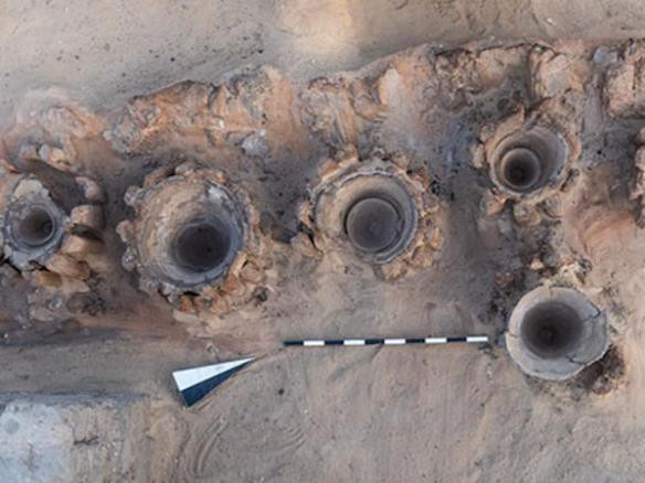 Археологичид Египетээс 5 мянган жилийн настай шар айрагны үйлдвэр илрүүлжээ  