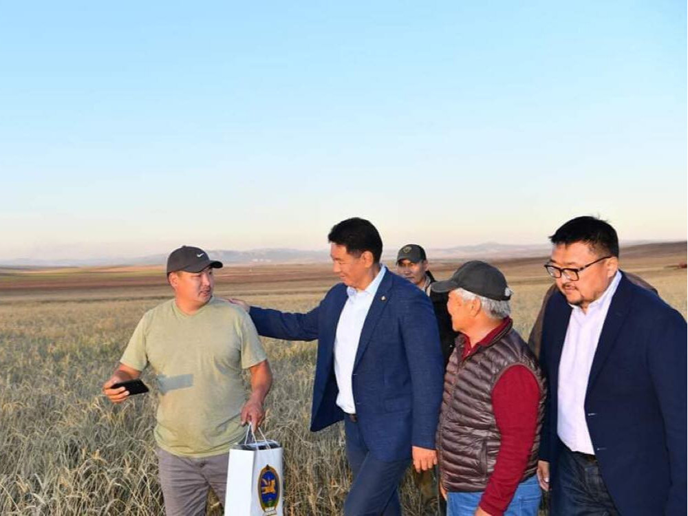 Улаанбуудайн хэрэгцээг дотоодоос бүрэн хангана