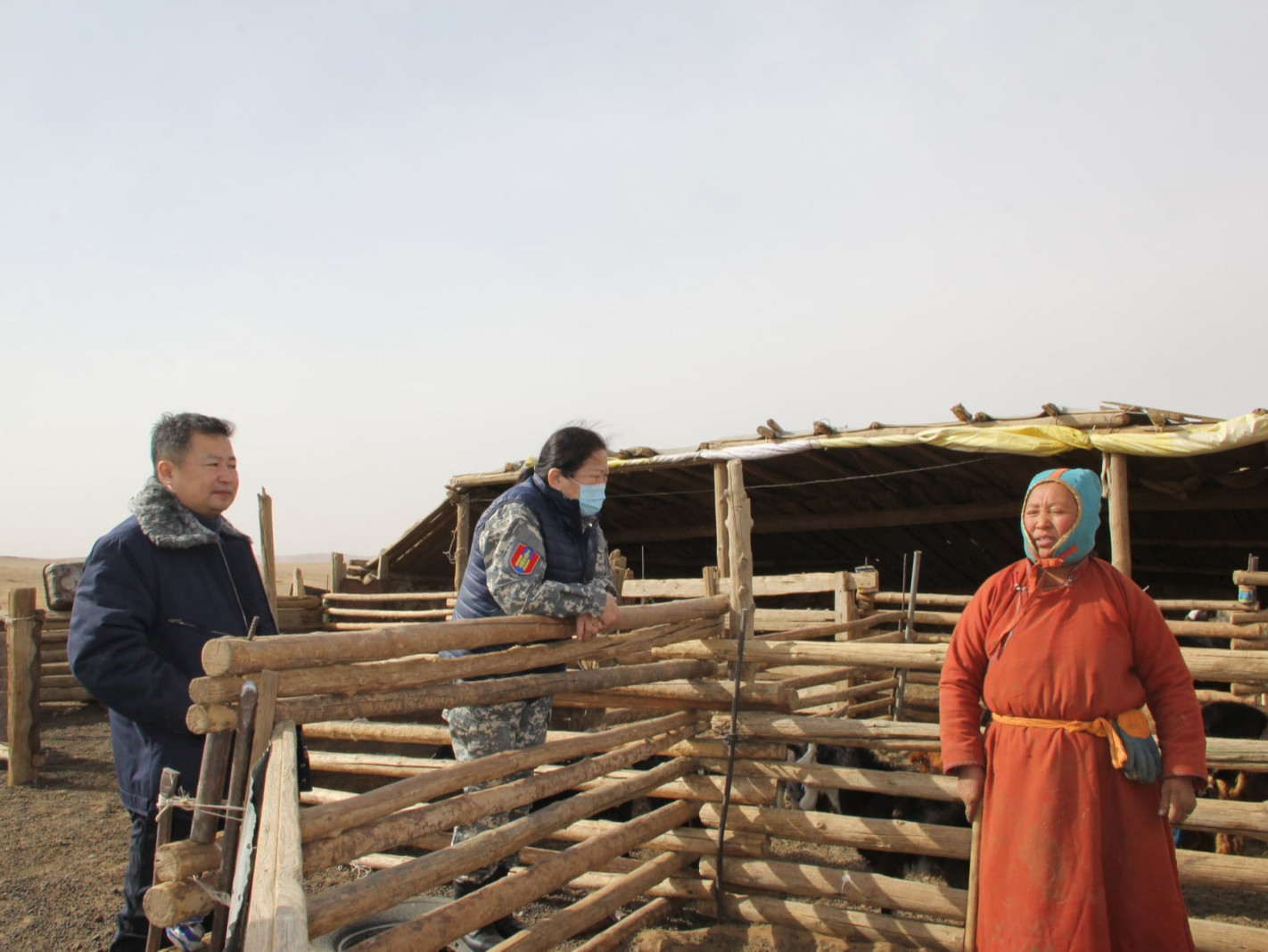 Дундговь аймгийн төрийн алба хаагчид хамтран малчдын малыг олж, бөөгнүүлэх ажилд оролцож байна