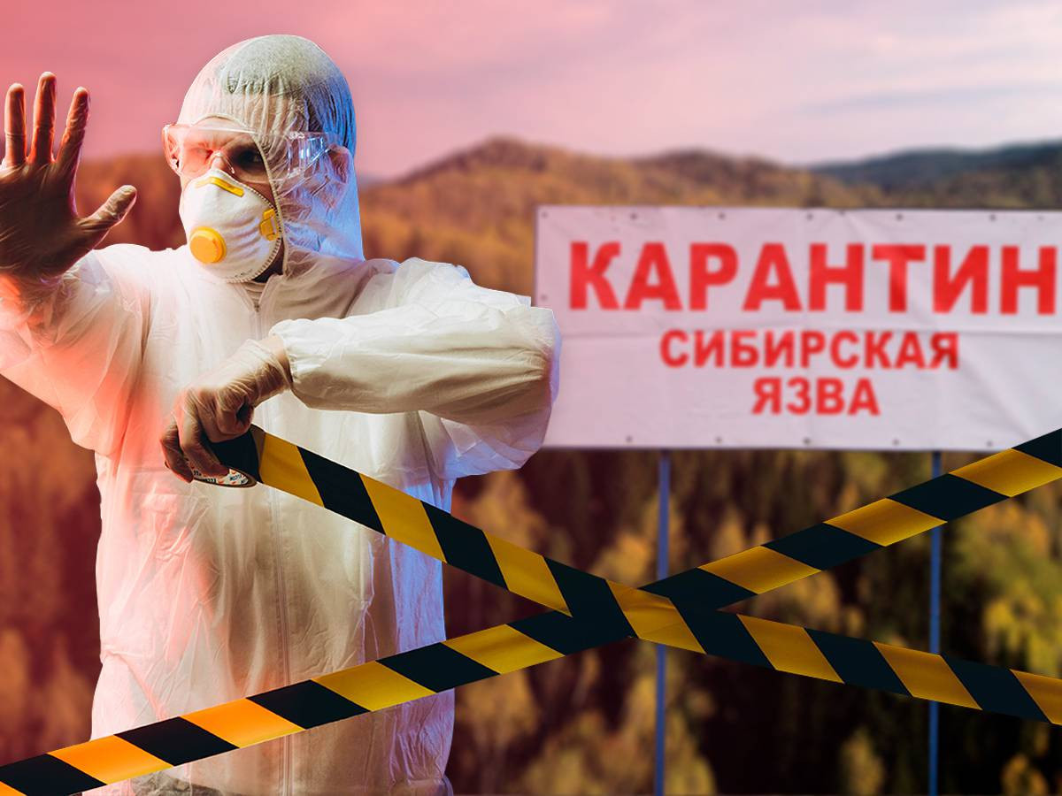 Монголын хилийн ойролцоох Тувагийн нутагт боом өвчин хүнд халдварлаж, хөл хорио тогтоожээ  