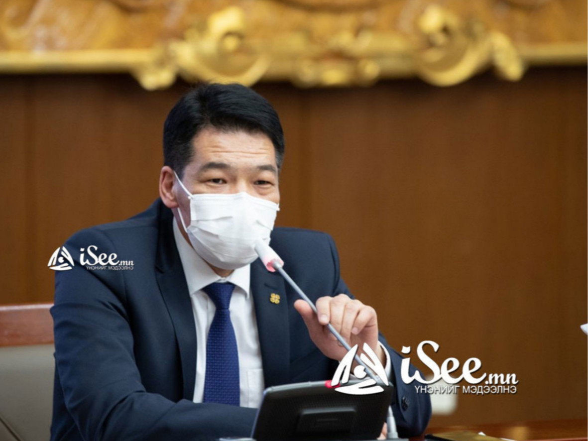 С.Энхболд: Халдвар нэмэгдэхэд шагнал урамшуулал, Сүхбаатарын талбайн бөөгнөрөл ч нөлөөлсөн