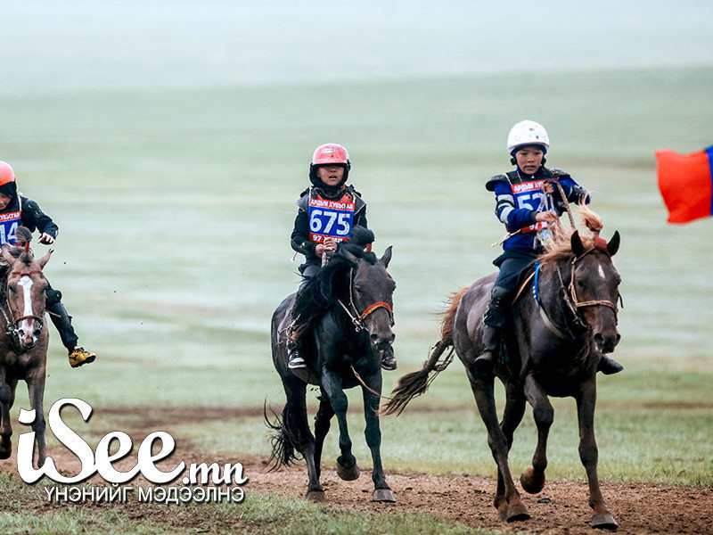 “Мөнх Даатгал” ХХК энэ жил хурдан морьны унаач хүүхдийн гэнэтийн ослын даатгал хийхгүй гэдгээ мэдэгдлээ