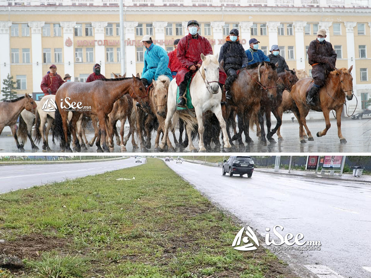 ФОТО: Морьтой жагсагчид Яармагийн авто замын зүлэг, хөрсийг сүйдэлжээ