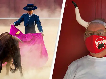“Феминист ба Нигер” гэх нэртэй бухуудаас болж бухын тулааны наадам цуцлагджээ