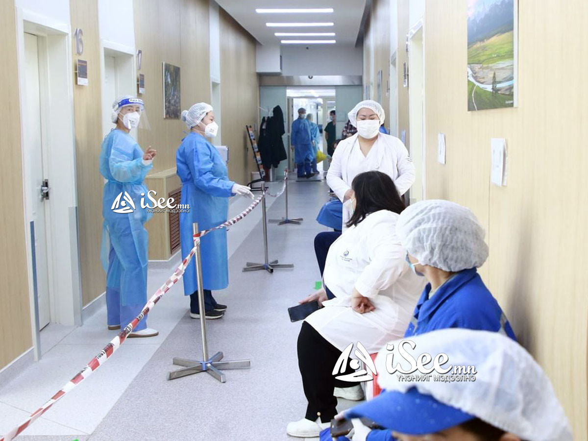 ЭМЯ: Улаанбаатарт 1267, орон нутагт 801 хүнээс халдвар илэрч, 17 хүн эндлээ