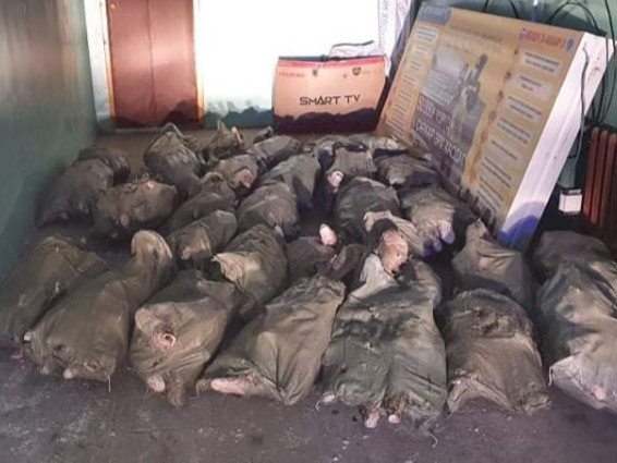 Хууль бусаар 30 уут загас тээвэрлэсэн хэргийг илрүүлжээ
