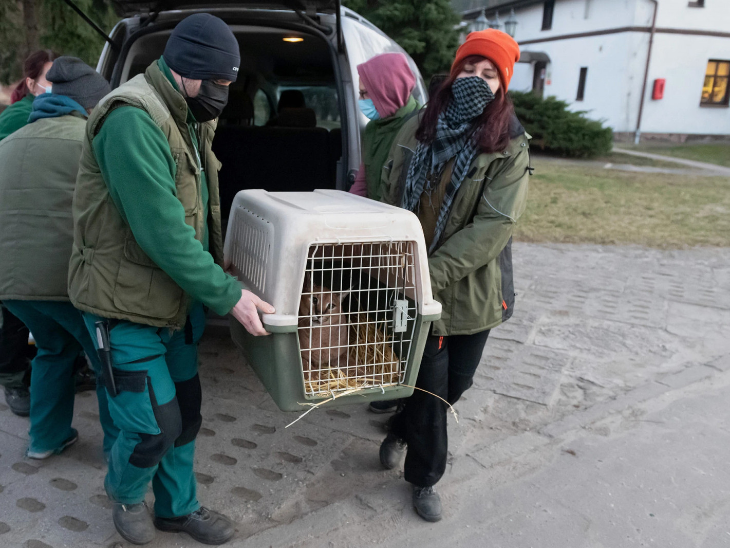 Украины амьтны хүрээлэнд хүнсний нөөц хомстож, олон мянган амьтдыг Польш руу нүүлгэн шилжүүлжээ