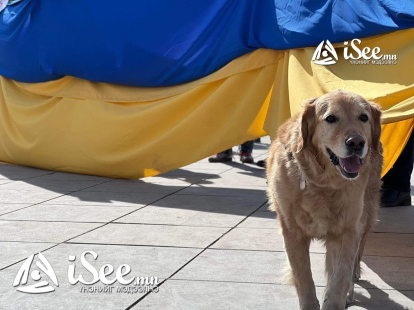 УКРАИНЫ ИРГЭН: Монголын цагдаа нар ОХУ-ын ЭСЯ-ны гадна болсон жагсаалд оролцохгүй байхыг бидэнд анхааруулсан 