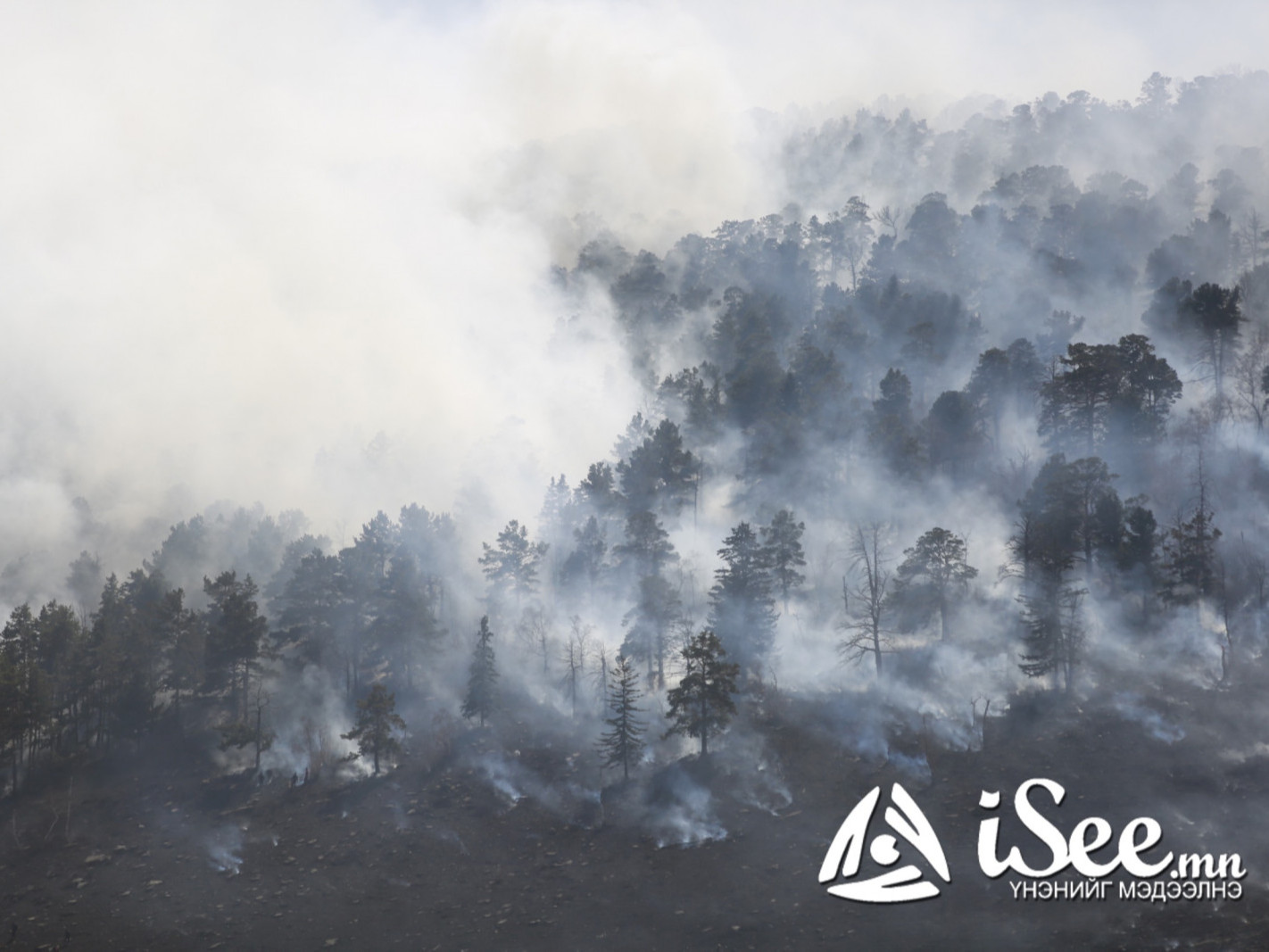 Сэлэнгэ аймагт гарсан ой, хээрийн түймрийг унтраахаар ажиллаж байна