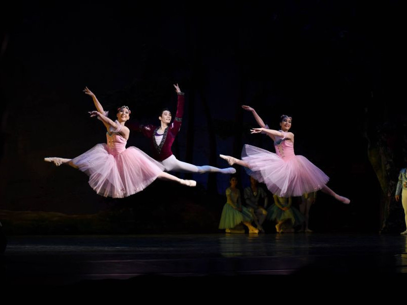 ДБЭТ-ын нэрэмжит 50 сая төгрөгийн шагналын сан бүхий балетын анхдугаар тэмцээн болно 