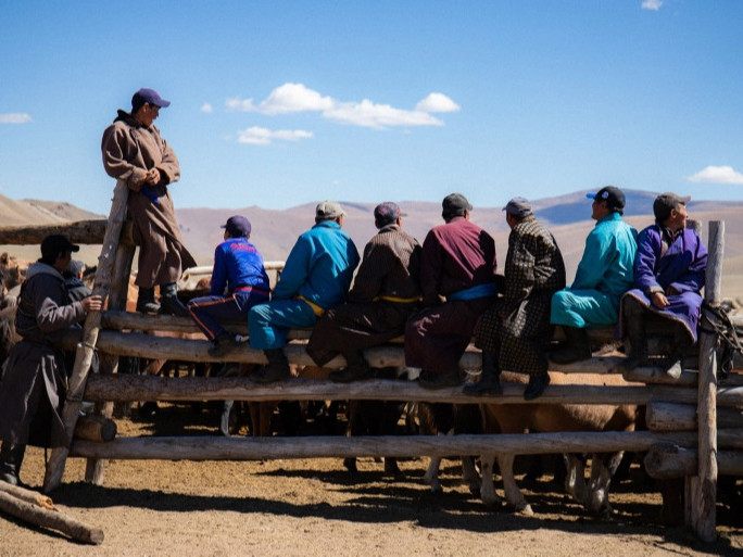 ФОТО: Цахирын хөндийд амьдардаг монгол малчдын талаар олон улсын хэвлэл онцолжээ