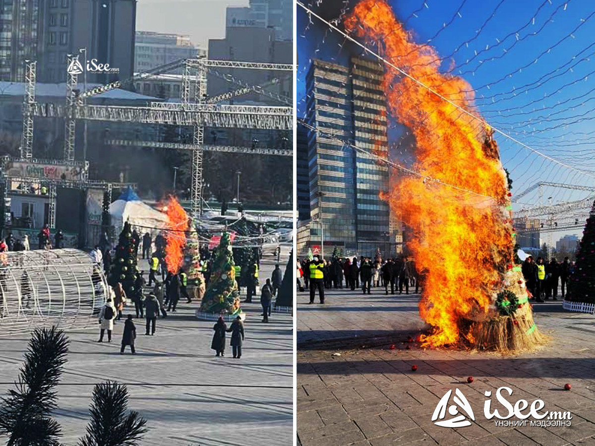 ШУУРХАЙ: Төв талбай дээр зассан гацуур модыг шатаасан хэрэг гарлаа