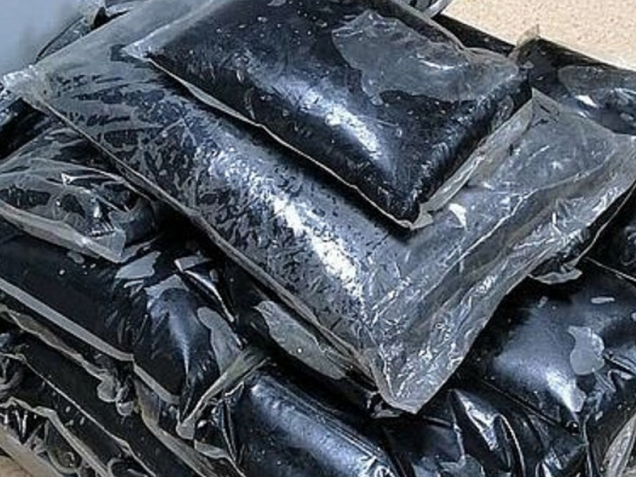 Монгол Улсын иргэн ОХУ-ын хилээр 185 кг барагшун гаргахыг завджээ