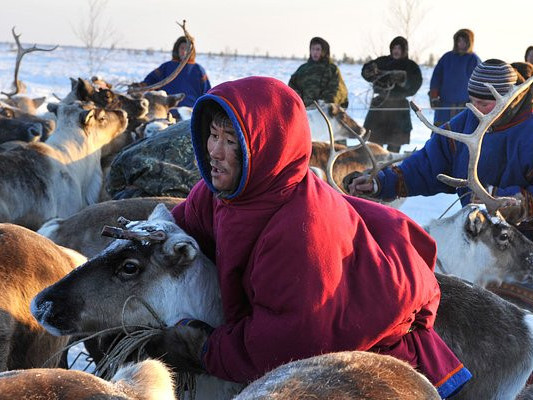 Якутад болсон "Цаа бугын олон улсын аварга шалгаруулах тэмцээн"-д монголын цаачид оролцсон тухай ОХУ-ын хэвлэлд нийтэлжээ