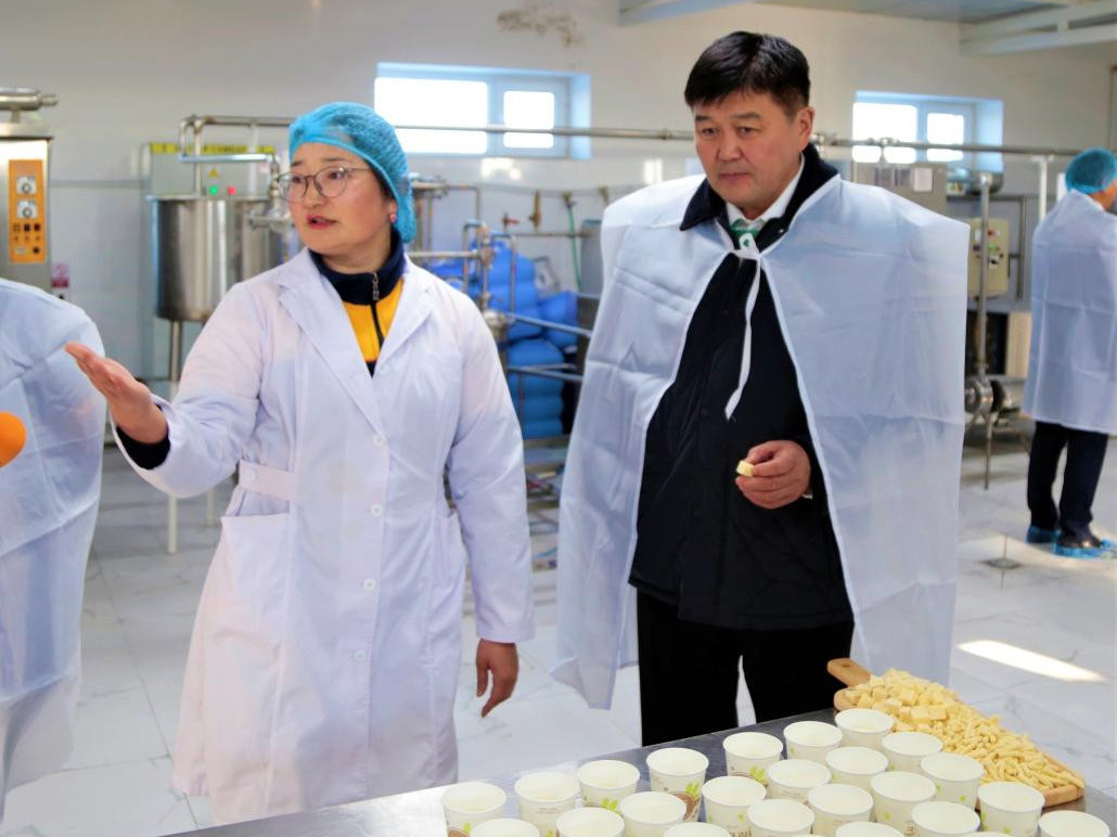 Импортын барааны гаалийн татвараас хөнгөлөх тоног төхөөрөмжийн жагсаалтыг баталлаа 