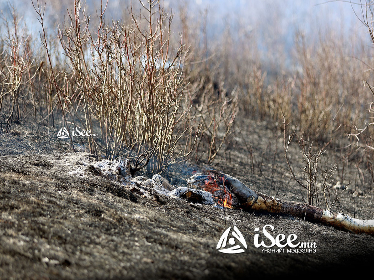 Сүхбаатар аймгийн Эрдэнэцагаан суманд дахин хээрийн түймэр гарлаа