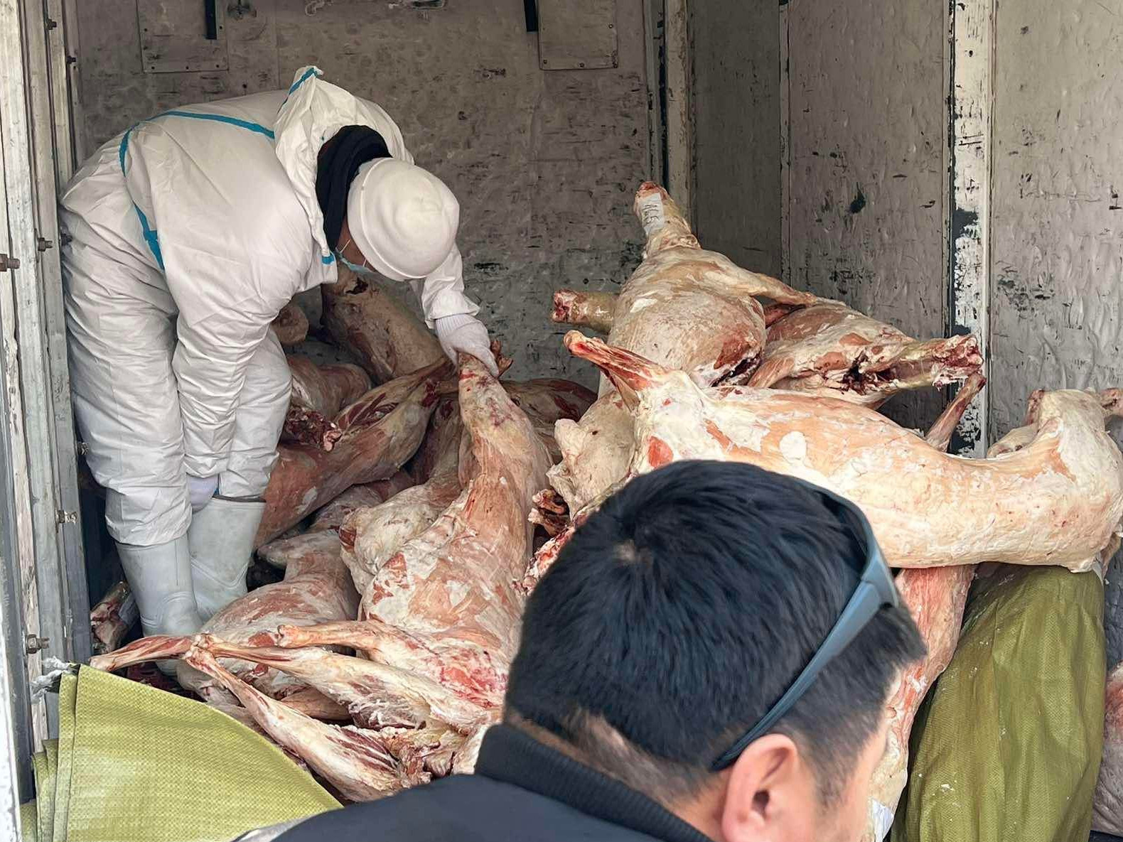 ФОТО: Нөөцийн мах гулуузаар худалдаалагдаж байна