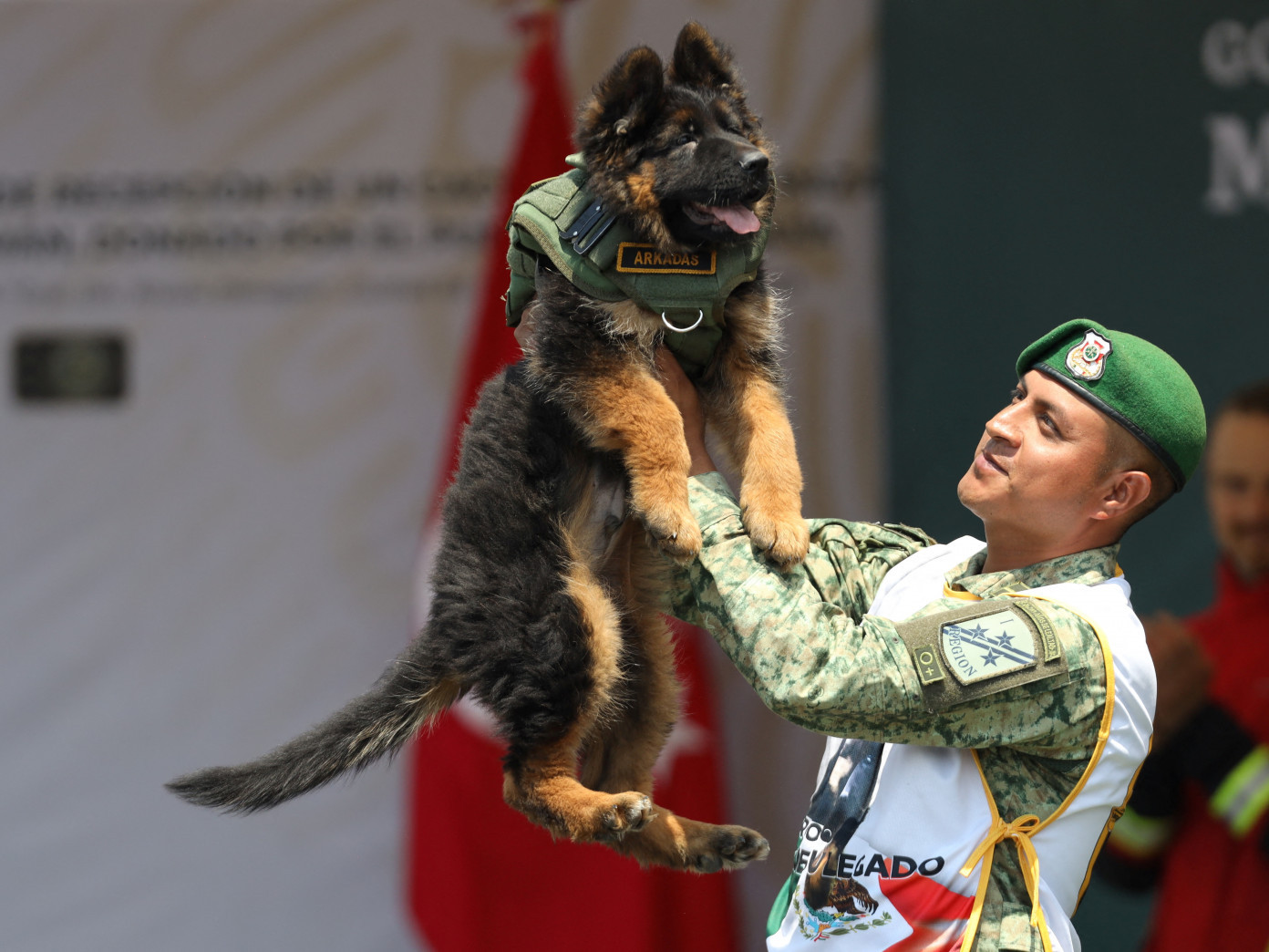 ФОТО: Газар хөдлөлтийн голомтод ажиллах үеэр амь үрэгдсэн аврагч нохойг хүндэтгэж Турк улс Мексикт гөлөг бэлэглэв