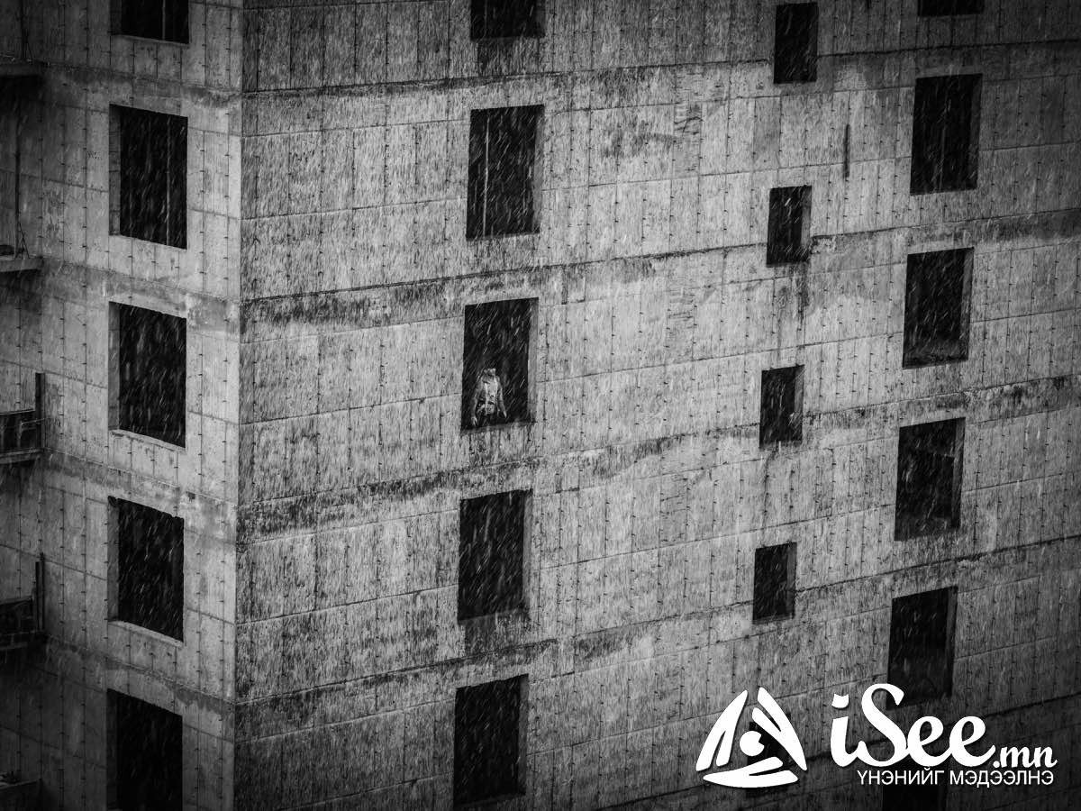 Ирэх долоо хоногт ихэнх нутгаар халж, гэнэтийн аадар бороо орох тул наршилт болон үер уснаас сэрэмжтэй байхыг анхааруулж байна