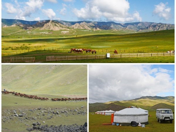 БИДНИЙ ТУХАЙ: Монгол орны нүүдэлчдийн ахуй амьдрал, малын сүүг боловсруулах арга нь тун сонирхолтой гэжээ