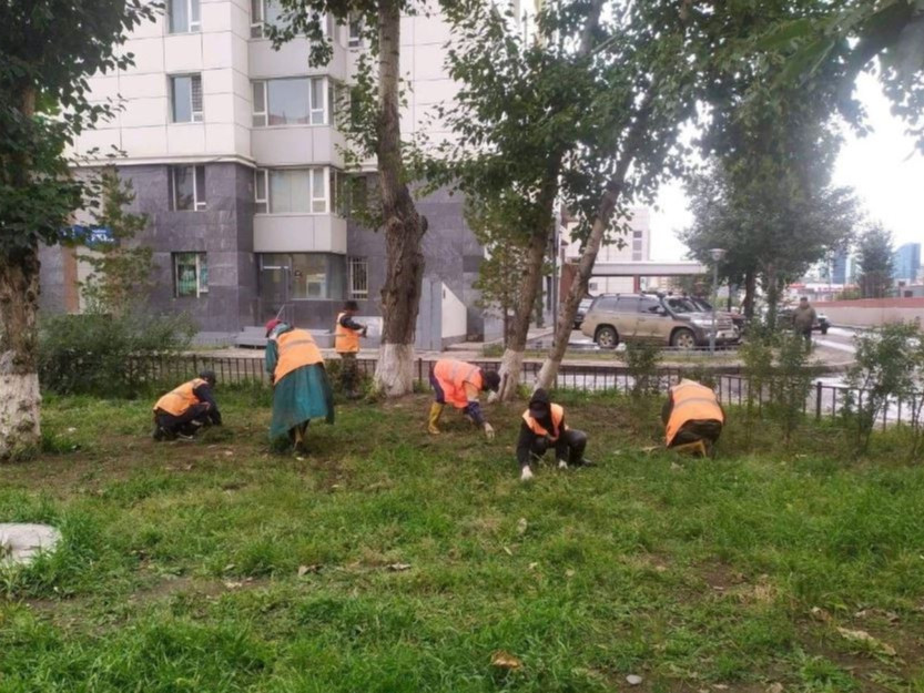 Хууль зүйн сайд Х.Нямбаатарын тушаалаар хоригдлууд шарилж устгаж эхэллээ