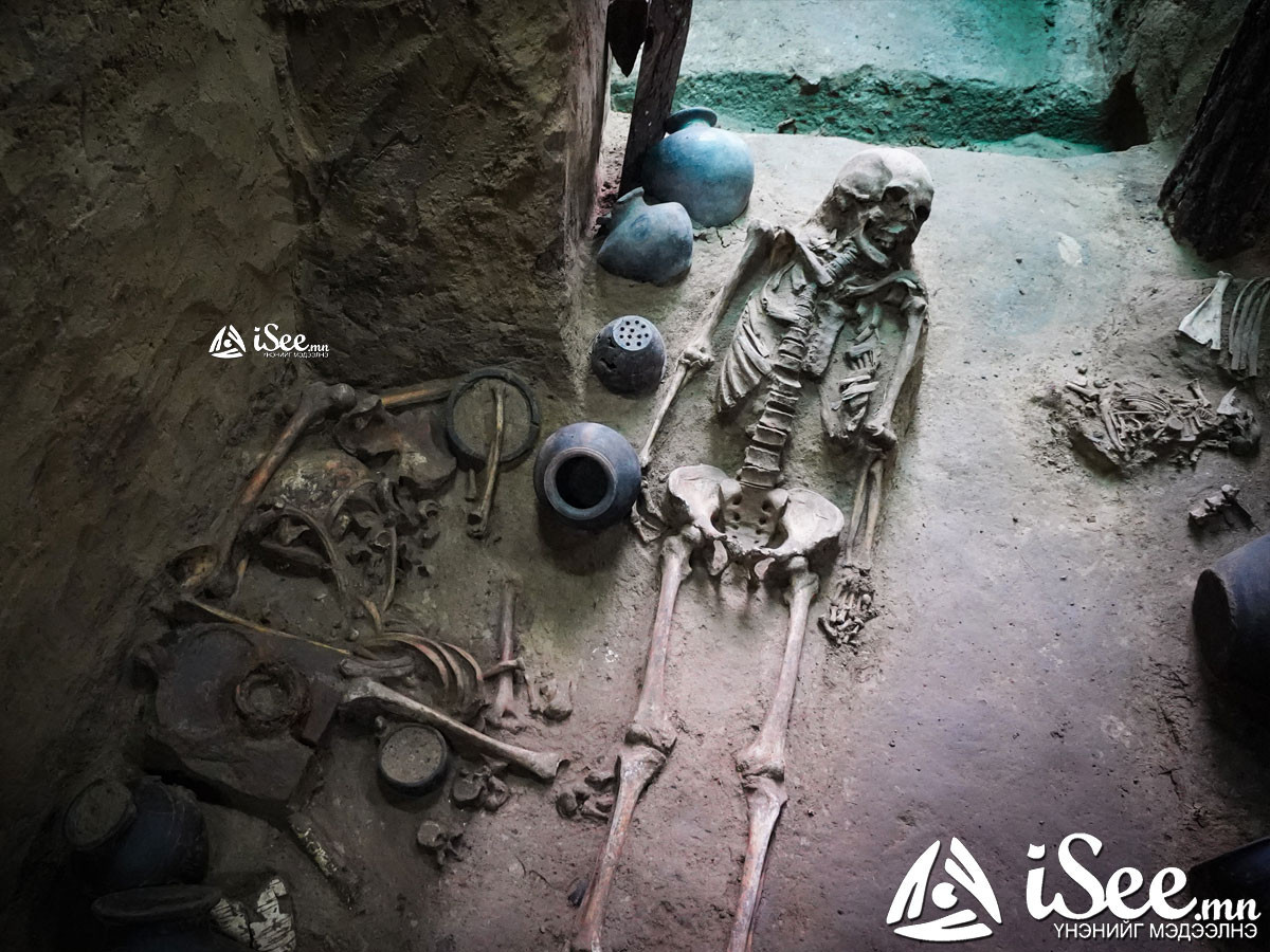 ВИДЕО: Археологичдын нээсэн Сяньбигийн язгууртны булшнаас тахил өргөсөн байж болзошгүй зарц нарын араг яс, 1800 жилийн өмнөх махчин шавж олджээ 