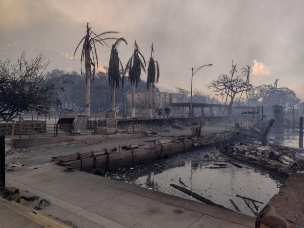 Хавайн аралд хар салхины улмаас хээрийн түймэр дэгдэж, зургаан хүн амиа алдаж олон зуун барилга галд өртжээ 