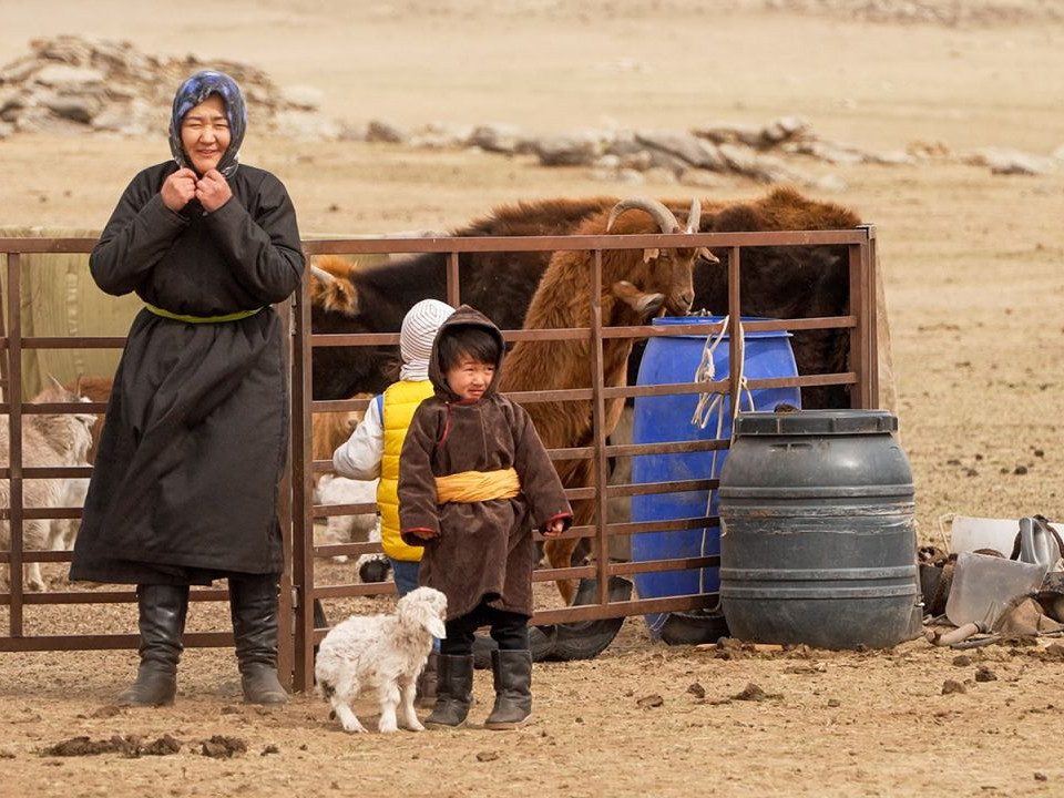 CNN: Ноолуурын эрэлт өсөж, ямаан сүрэг олширч байгаа нь Монгол орны байгальд сөргөөр нөлөөлж байна