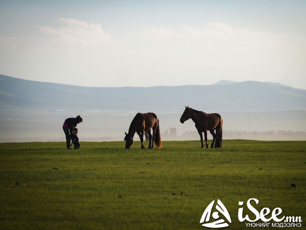 Монгол Улс 71 сая малтай хэр нь 24 сая малтай байх бэлчээрийн даацтай байна