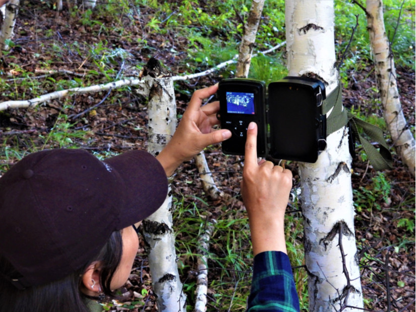 Угтам ууланд байгалийн судалгааны автомат камер суурилууллаа