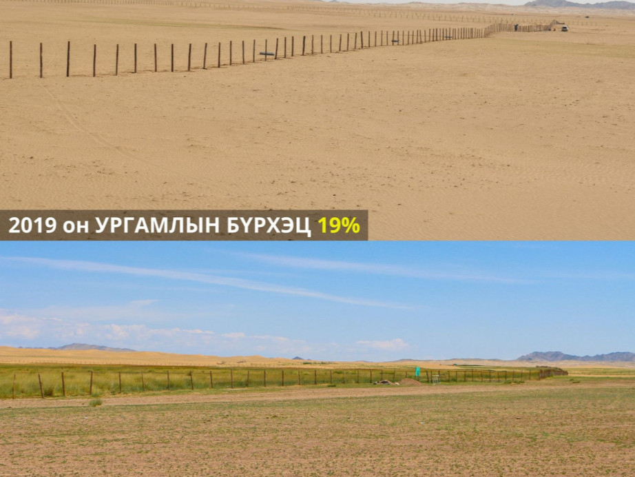 Говь-Алтай аймгийн Хөхморьт сумын 60 га талбайг элсний нүүдлээс хамгаалах арга хэмжээ авчээ