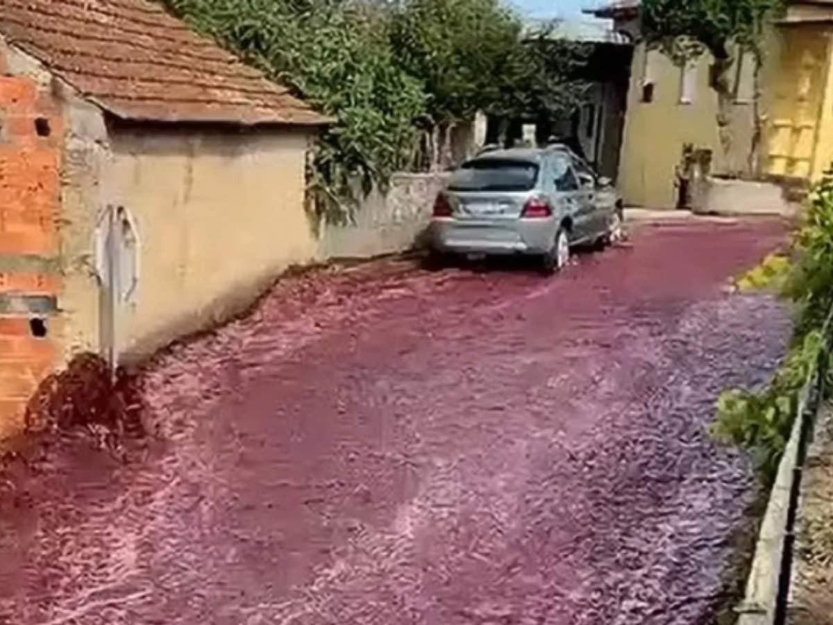 ВИДЕО: Португалийн Анадиа хотод хоёр сая литр дарс гудамжинд асгарчээ