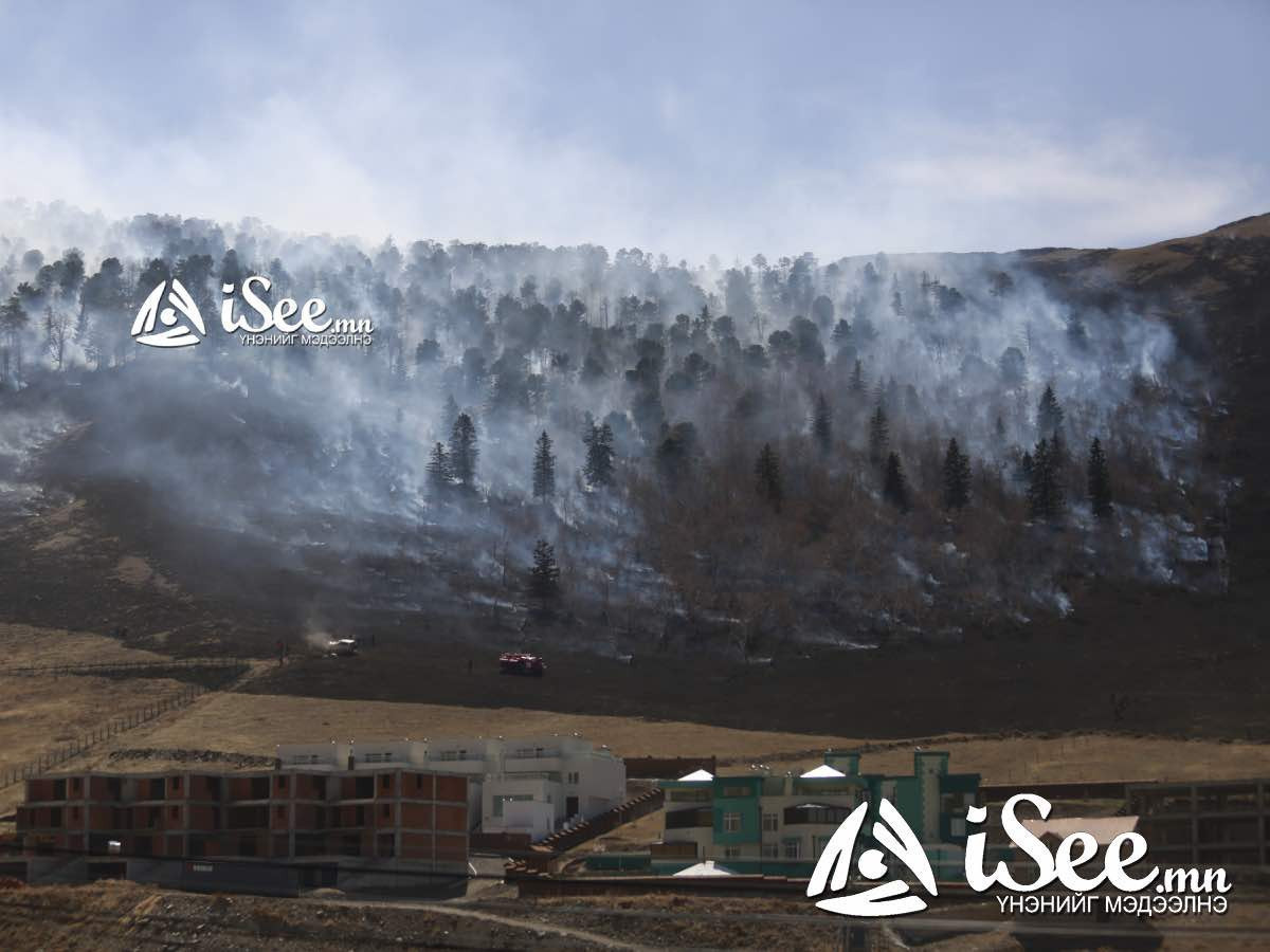 ОБЕГ: Сэлэнгэ аймагт гарсан ойн түймрийг унтраахаар ажиллаж байна