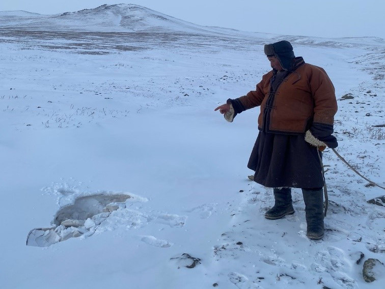 Хунгарласан цасанд зоогдсон зээрийг гаргасан малчинг "зээр агнаж байна" гэх ташаа мэдээлэл цацагдсан гэж ЭЦА-аас мэдэгдлээ