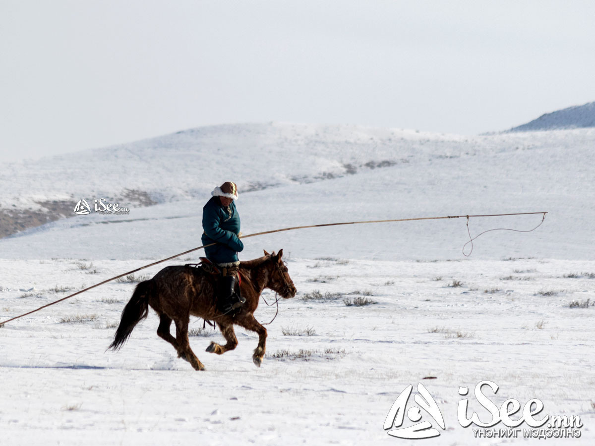 "Монгол орны нийт нутгийн 90 гаруй хувь цастай байна" гэж ЦУОШГ-аас мэдээллээ