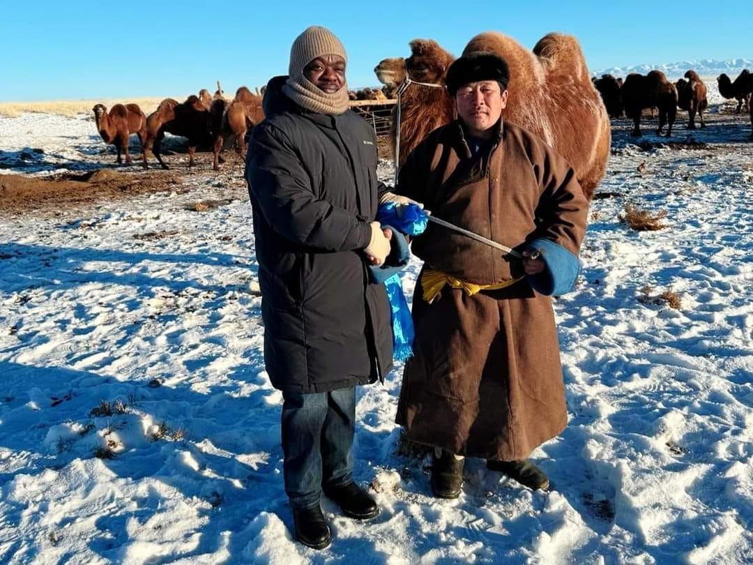 НҮБ-ын суурин төлөөлөгчийг Говь-Алтай аймагт ажиллах үеэр Шарга сумын малчин П.Түвшин түүнд тэмээ бэлэглэжээ 
