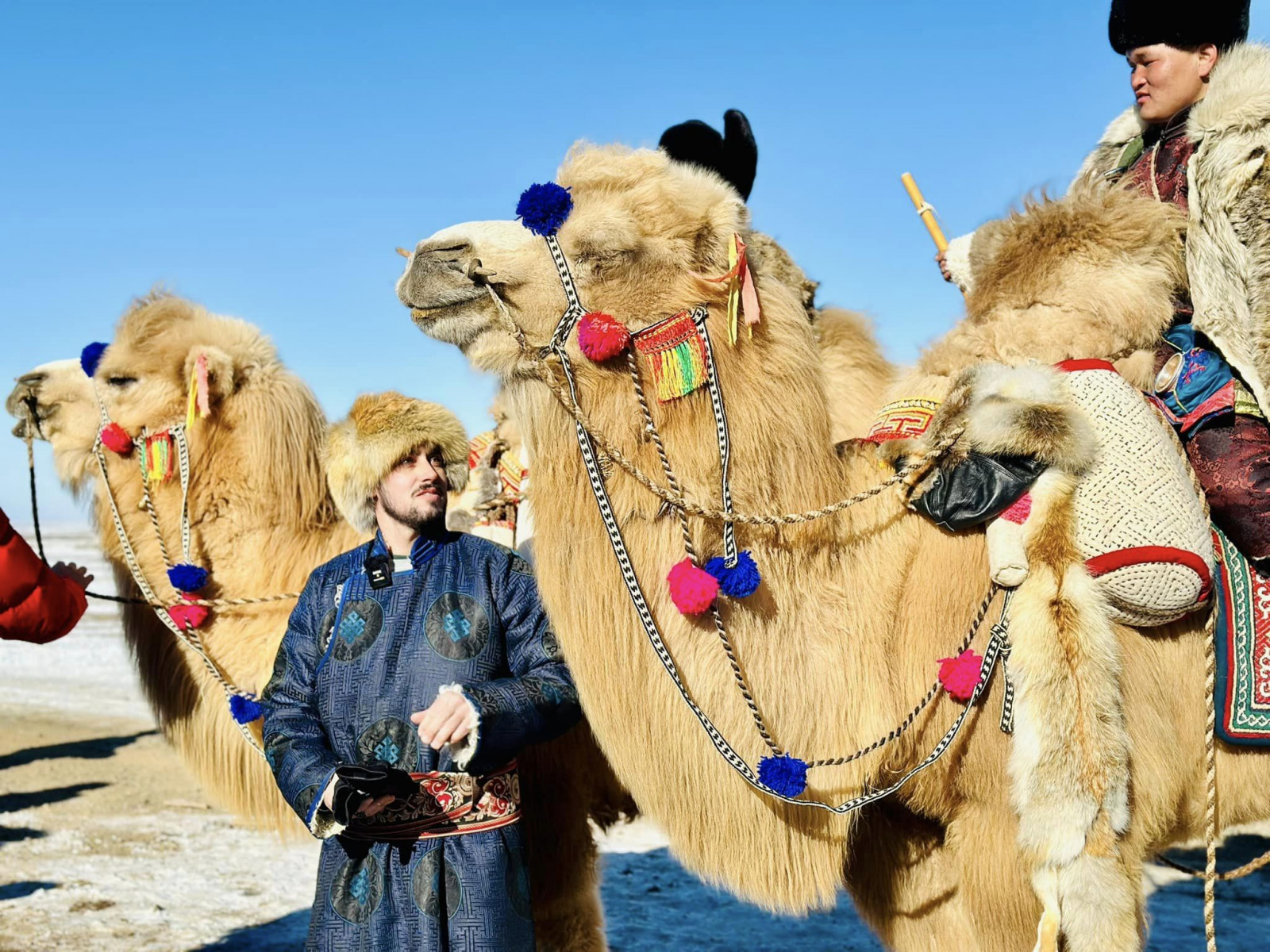 “Тэмээний  улсын алдарт уяач” цолыг энэ жил анх удаа Өмнөговь, Баянхонгор аймгийн хоёр залуу авчээ