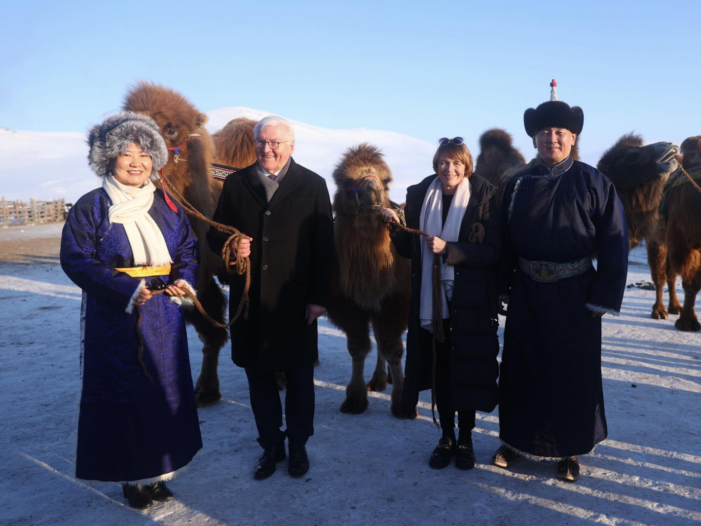 ФОТО: Германы Ерөнхийлөгч Ф.В.Штайнмайэрт тэмээ, гэргий Элке Бюнденбендэрт ботго зүслэж өгчээ