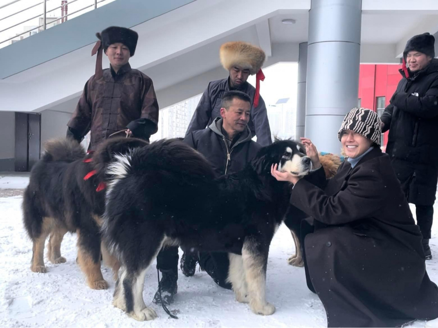 ФОТО: Монгол банхар судлалын холбоо дуучин Ким Хён Жунд Монгол банхар нохдоо танилцуулжээ