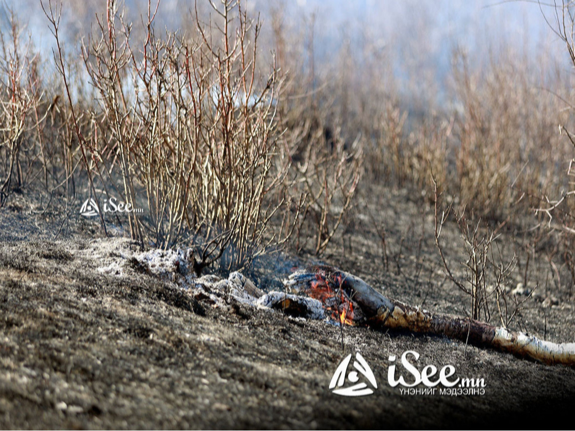 Сэлэнгэ аймгийн Сүхбаатар, Алтанбулаг, Бугант, Хүдэр сумын нутаг ойн түймрийн аюултай зэрэглэлд байна